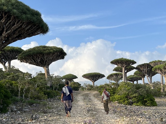 Impact of Tourism on Socotra’s Communities